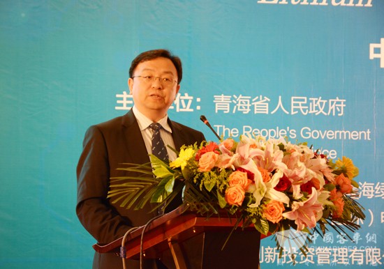王傳福：2020年公共交通將實現(xiàn)全面電動化