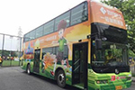 首輛足球主題雙層巴士廣州發(fā)車(chē)