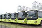 2016年浙江臺(tái)州將新添140輛公交車 新能源車成采購(gòu)主角