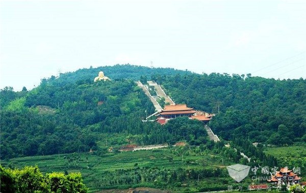 在云南彌勒的綠水青山里，遇見中車電動公交