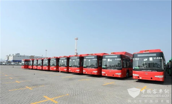 結合國情量身定制 166輛金龍?zhí)烊粴夤怀隹谀鞲?>
										</a>									
									</div>
																<div   id=
