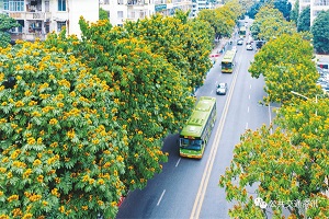 《鄉(xiāng)村建設(shè)行動(dòng)實(shí)施方案》印發(fā) 積極推進(jìn)城市公交線(xiàn)路向周邊重點(diǎn)村鎮(zhèn)延伸