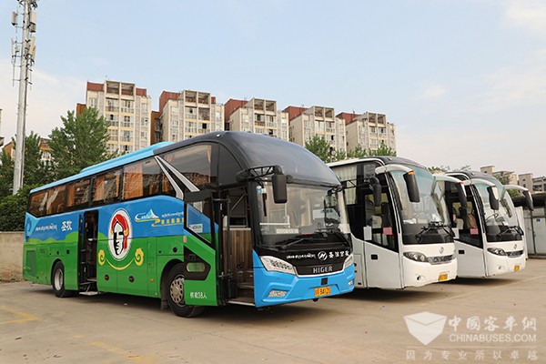 蘇州金龍 旅游客車(chē) 睿星車(chē)型 新川藏運(yùn)業(yè)