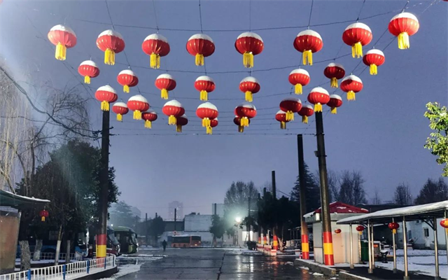 洛陽(yáng)公交“寫”春意 春聯(lián)福字送溫馨