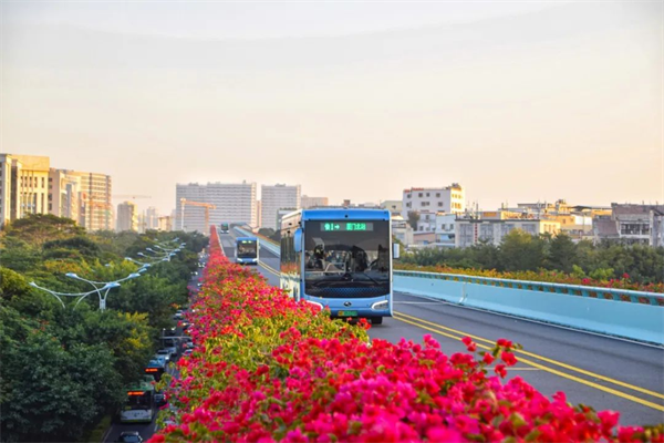 五一來廈怎么玩？來看金龍公交車新玩法花式霸屏！