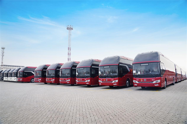 2025年中國沙特最大單！金旅234臺(tái)高端旅游客運(yùn)車揚(yáng)帆啟航