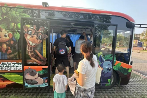 長沙“微循環(huán)定制生態(tài)動物園專線”運營時間延長至晚八點