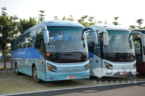 廈門金旅為亞運會接待服務(wù)用車保駕護航