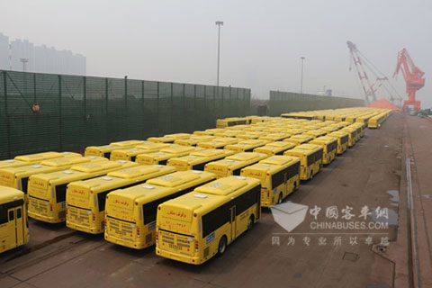 2186輛中通校車出口沙特