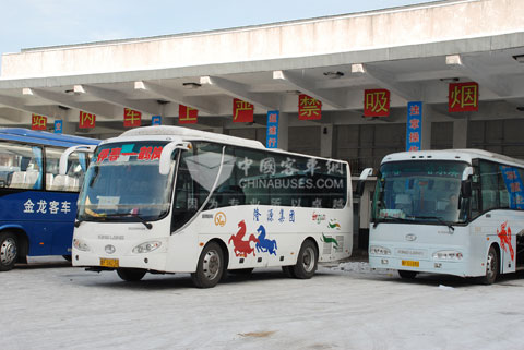 在伊春客運(yùn)市場，許多車主都選擇用大金龍的車