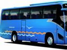 大金龍旅游團(tuán)體拳頭車型。XMQ6117外觀設(shè)計(jì)采用國際同步流行的曲線精致搭建——大弧面、流線型，飽滿而有張力。自上市以來，在市場(chǎng)上都有不俗表現(xiàn)，2009年更是保持佳績，銷售達(dá)到800多輛，銷售金額近4億，是當(dāng)之無愧的暢銷車型。