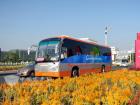 鮮花、笑臉、靚車相映成景