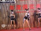 2011上?？蛙囌够ㄐ?女郎