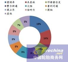 輪胎在全球和中國市場真相