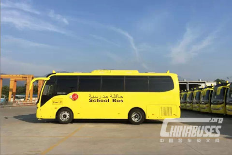 大金龍80輛精品校車出口沙特