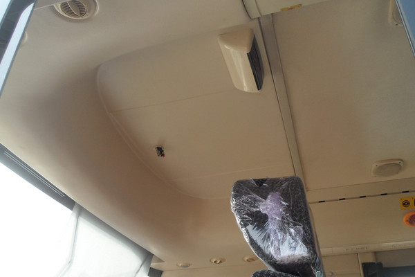 中通LCK6670EV1客車（純電動(dòng)10-23座）