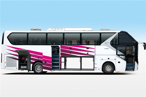 金龍XMQ6125AYN5C客車（天然氣國(guó)四24-57座）