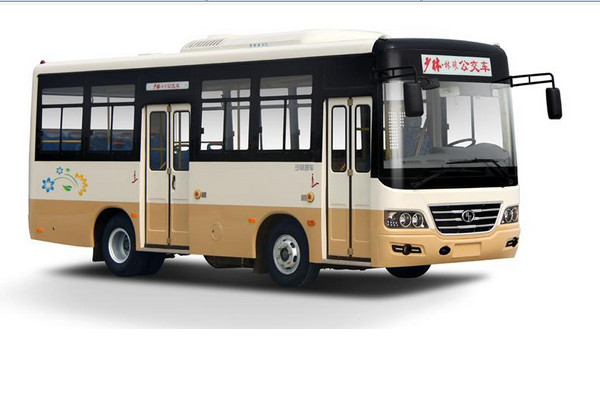 少林SLG6730C5GF公交車(chē)（柴油國(guó)五10-29座）