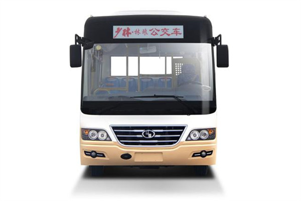 少林SLG6730C5GF公交車(chē)（柴油國(guó)五10-29座）