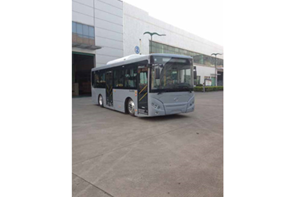 五洲龍F(tuán)DG6851EVG2公交車(chē)（純電動(dòng)10-28座）