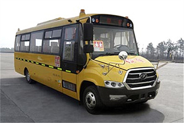 安凱HFF6801KZ5中小學(xué)生專(zhuān)用校車(chē)（柴油國(guó)五24-30座）