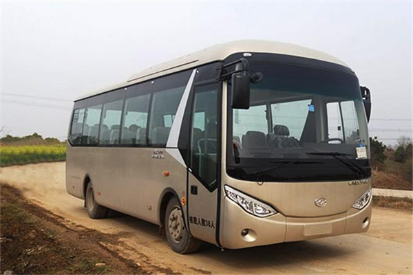 武漢WH6801BEV1客車(chē)（純電動(dòng)24-38座）