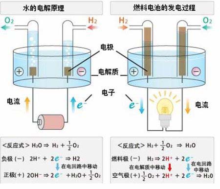 燃料電池的發(fā)電原理